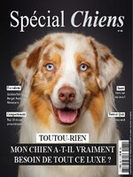 Spécial Chiens